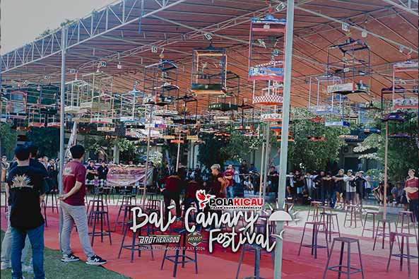 Bali Canary Festival 2024